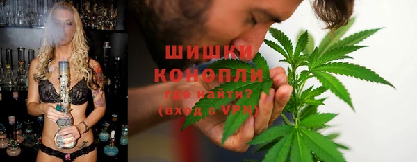 прущие крисы Заводоуковск