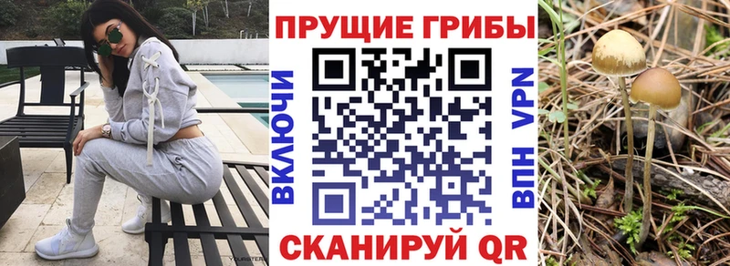 Псилоцибиновые грибы GOLDEN TEACHER Реутов