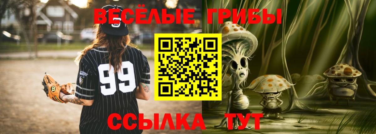 Реутов  Галлюциногенные грибы Magic Shrooms  Вход с VPN 